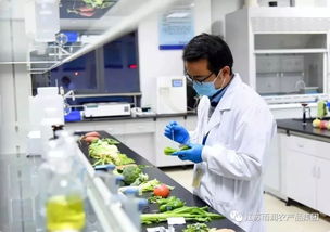 給力！2019全國農(nóng)業(yè)產(chǎn)業(yè)化龍頭企業(yè)500強(qiáng)發(fā)布，徐州這家企業(yè)憑借檢驗(yàn)檢測服務(wù)上榜